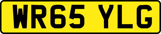 WR65YLG