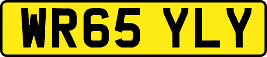 WR65YLY