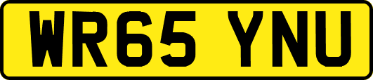 WR65YNU