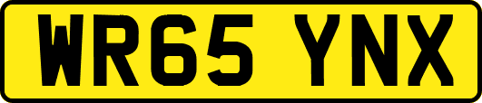 WR65YNX
