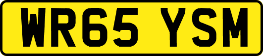 WR65YSM