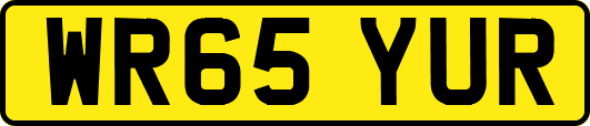 WR65YUR