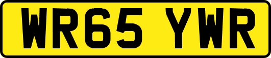 WR65YWR