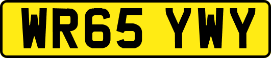 WR65YWY