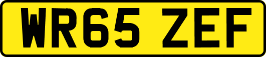 WR65ZEF