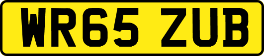 WR65ZUB