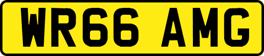 WR66AMG