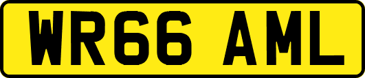 WR66AML