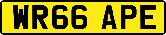 WR66APE