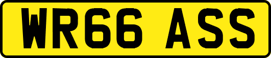 WR66ASS