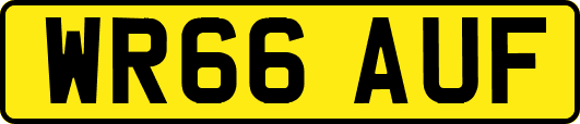 WR66AUF