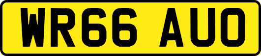 WR66AUO