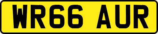 WR66AUR