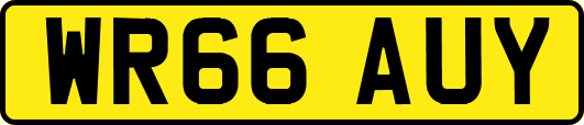 WR66AUY