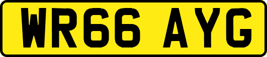 WR66AYG