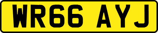 WR66AYJ