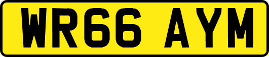 WR66AYM
