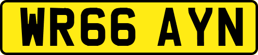 WR66AYN