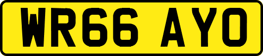 WR66AYO