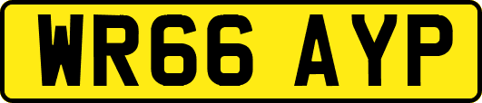 WR66AYP