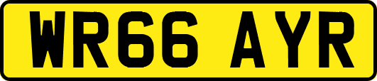 WR66AYR