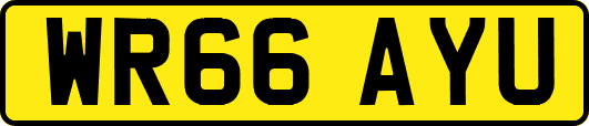 WR66AYU