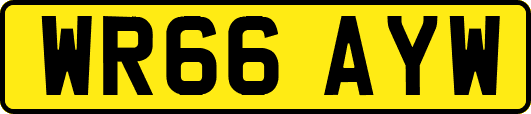 WR66AYW