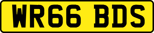 WR66BDS