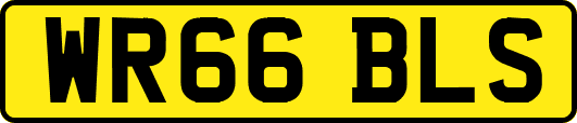WR66BLS