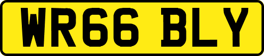 WR66BLY