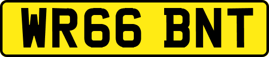 WR66BNT