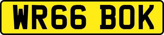 WR66BOK