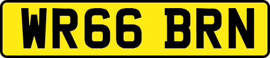 WR66BRN