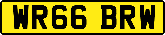 WR66BRW