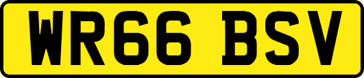 WR66BSV