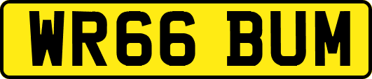 WR66BUM