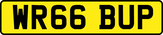WR66BUP