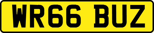 WR66BUZ