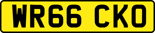 WR66CKO