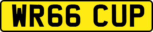 WR66CUP