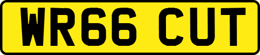 WR66CUT