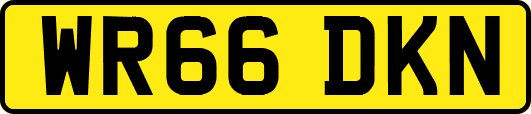 WR66DKN