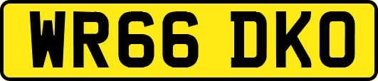 WR66DKO