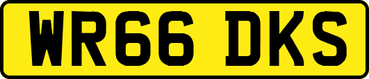 WR66DKS
