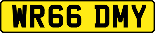 WR66DMY