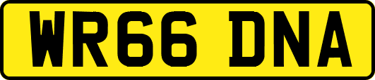 WR66DNA