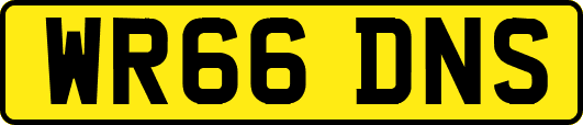 WR66DNS