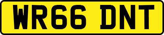 WR66DNT