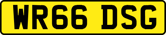 WR66DSG