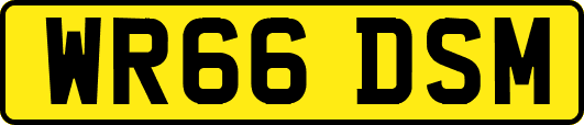 WR66DSM